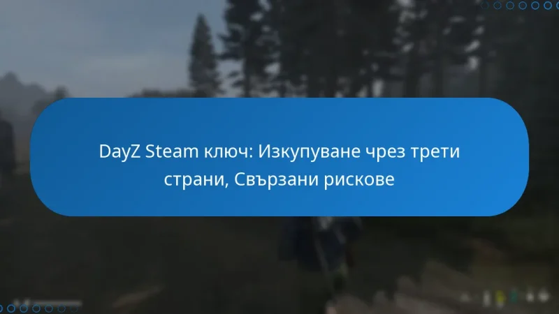 DayZ Steam ключ: Изкупуване чрез трети страни, Свързани рискове