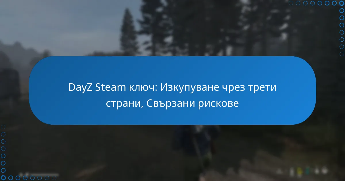 DayZ Steam ключ: Изкупуване чрез трети страни, Свързани рискове