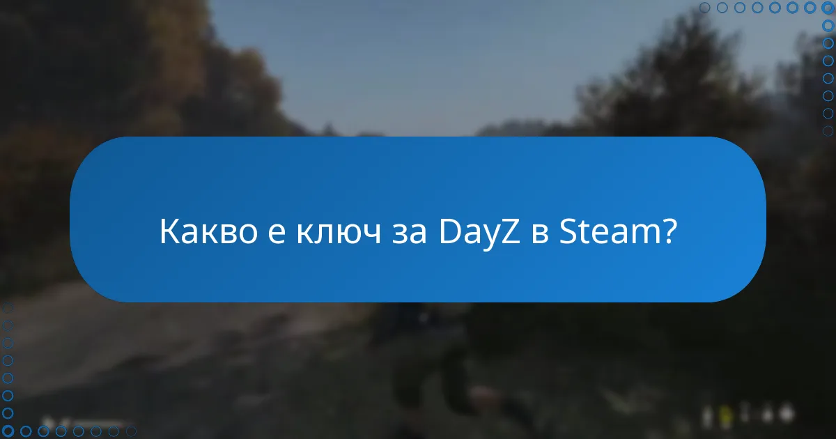 Какви са общите проблеми с решаването на проблеми в DayZ?